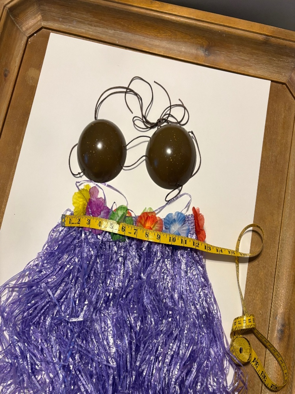 Costume - Hula skirt with coconut bra, OS